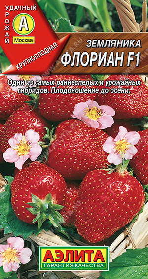 0420A Земляника Флориан F1 5шт 0420A Земляника Флориан F1 5шт
