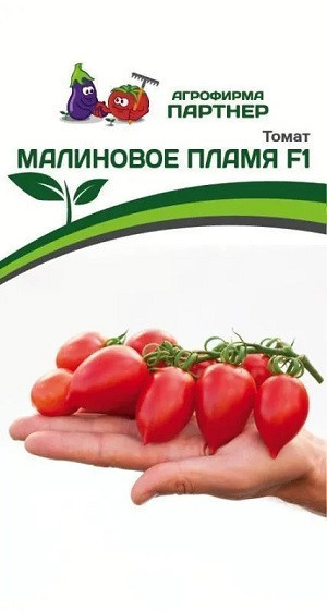 3210P Томат МАЛИНОВОЕ ПЛАМЯ F1 10шт 3210P Томат МАЛИНОВОЕ ПЛАМЯ F1 10шт