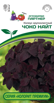 3314P Колеус "КОЛОРИТ ПРЕМИУМ" ЧОКО НАЙТ 5шт