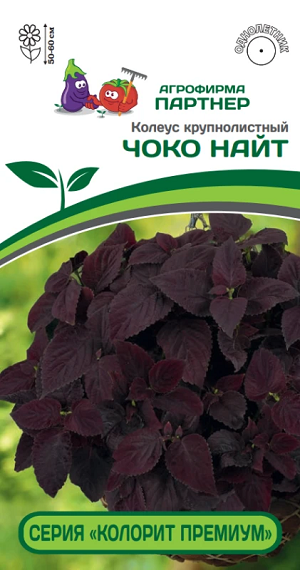 3314P Колеус "КОЛОРИТ ПРЕМИУМ" ЧОКО НАЙТ 5шт 3314P Колеус "КОЛОРИТ ПРЕМИУМ" ЧОКО НАЙТ 5шт