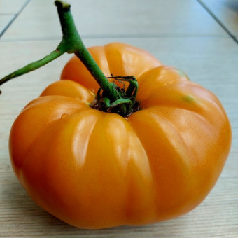 7093T Томат Элфи 10 шт