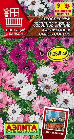 1649A Остеоспермум Звездное сияние карликовый, смесь сортов 10шт 1649A Остеоспермум Звездное сияние карликовый, смесь сортов 10шт