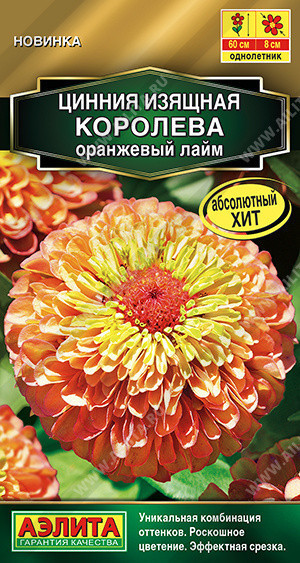 1936A Цинния Королева оранжевый лайм 5 шт