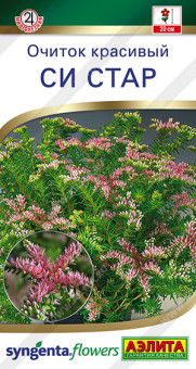 1650A Очиток красивый Си стар 10шт