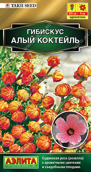 1437A Гибискус суданский Алый коктейль 3 шт