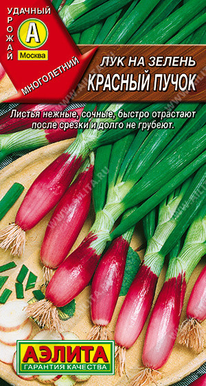 0551A Лук на зелень Красный пучок 0,3гр 0551A Лук на зелень Красный пучок 0,3гр