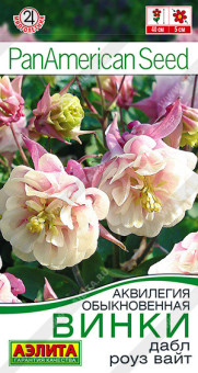 1151A Аквилегия Винки дабл роуз вайт 4шт