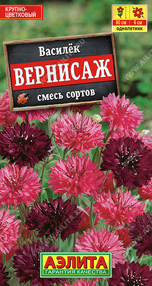 1338A Василек Вернисаж, смесь сортов 0,3 г