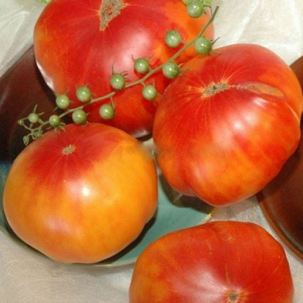 7102T Томат Армянские 10шт 7102T Томат Армянские 10шт