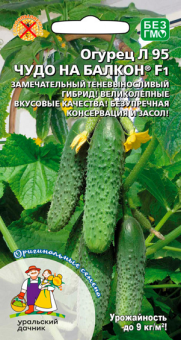 8016N Огурец Чудо на балкон Л 95 F1 6шт