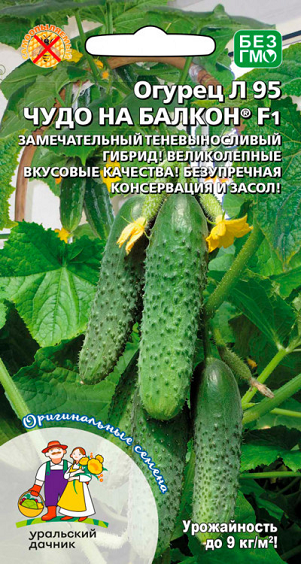 8016N Огурец Чудо на балкон Л 95 F1 6шт 8016N Огурец Чудо на балкон Л 95 F1 6шт