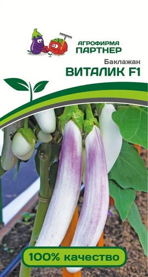 3010P Баклажан ВИТАЛИК F1 10 шт