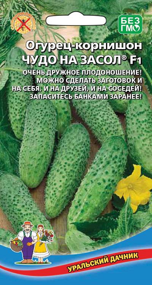 8017N Огурец Чудо на засол F1 10шт 8017N Огурец Чудо на засол F1 10шт