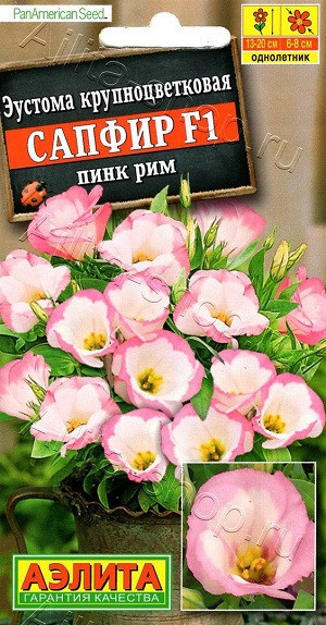 1954A Эустома Сапфир F1 пинк рим крупноцветковая 5шт 1954A Эустома Сапфир F1 пинк рим крупноцветковая 5шт