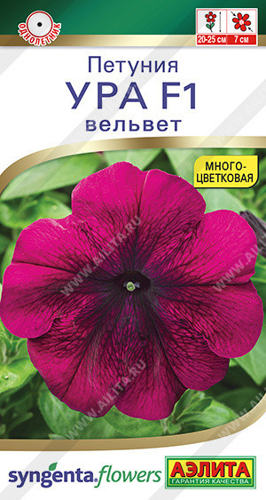 1742A Петуния Ура F1 вельвет 7шт