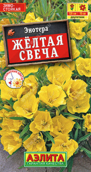 1947A Энотера Желтая свеча 0,2гр