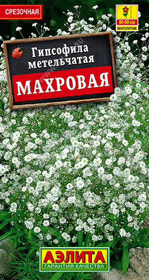 1441A Гипсофила Махровая многолетняя 0,05 г