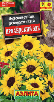 1755A Подсолнечник Ирландский эль 0,5гр