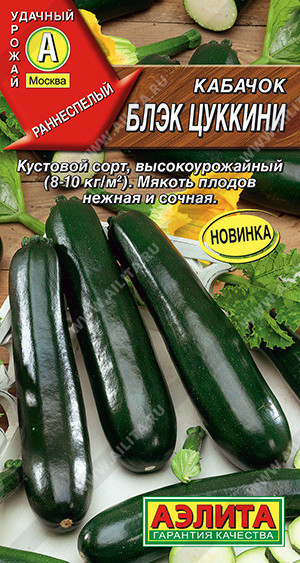 0442A Кабачок Блэк цуккини 1 г