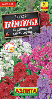 1556A Левкой карликовый Дюймовочка, смесь сортов 0,1гр