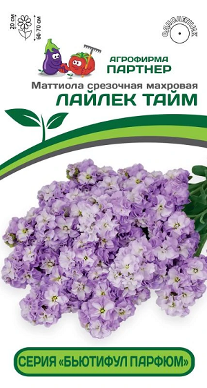 3323P Маттиола срезочная махровая "Бьютифул Парфюм" ЛАЙЛЕК ТАЙМ 10шт 3323P Маттиола срезочная махровая "Бьютифул Парфюм" ЛАЙЛЕК ТАЙМ 10шт