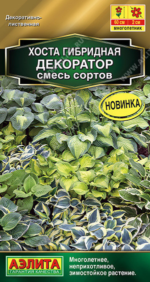 1846A Хоста Декоратор, смесь сортов 5шт
