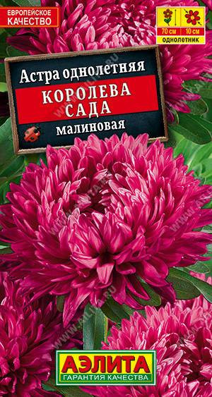 1243A Астра Королева сада, малиновая 0,2 г