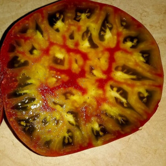 7004T Томат Алмаатинский триколор 10шт