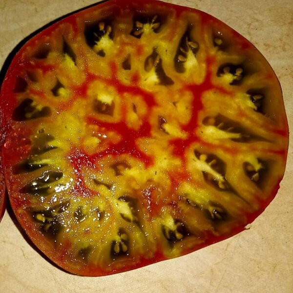 7004T Томат Алмаатинский триколор 10шт 7004T Томат Алмаатинский триколор 10шт