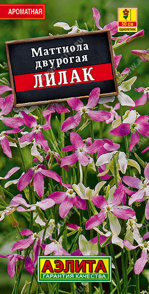 1644A Маттиола двурогая Лилак 0,5 г