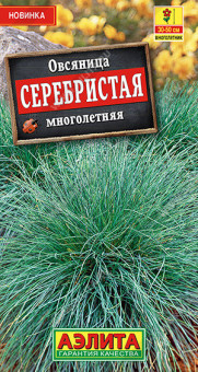 1645A Овсяница Серебристая многолетняя 5шт