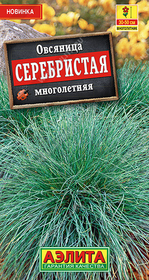 1645A Овсяница Серебристая многолетняя 5шт