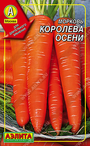 0270 Морковь Королева осени 300 шт