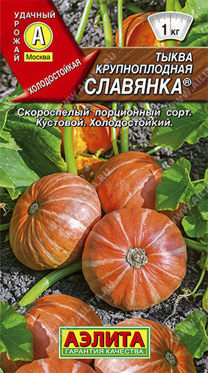 1045A Тыква крупноплодная Славянка 1 г