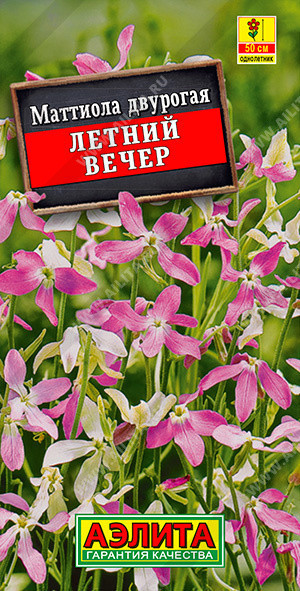 1645A Маттиола Летний вечер 0,5 г