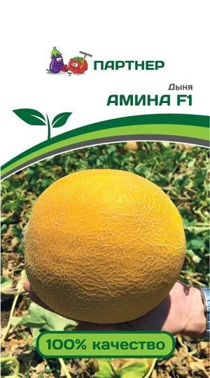 3016P Дыня АМИНА F1 5 шт