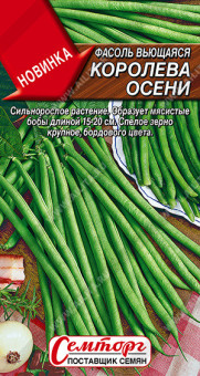 1059A Фасоль вьющаяся Королева осени 3гр
