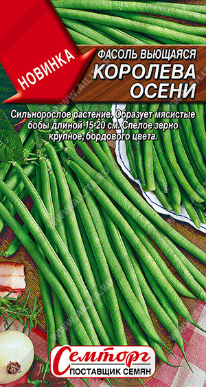 1059A Фасоль вьющаяся Королева осени 3гр