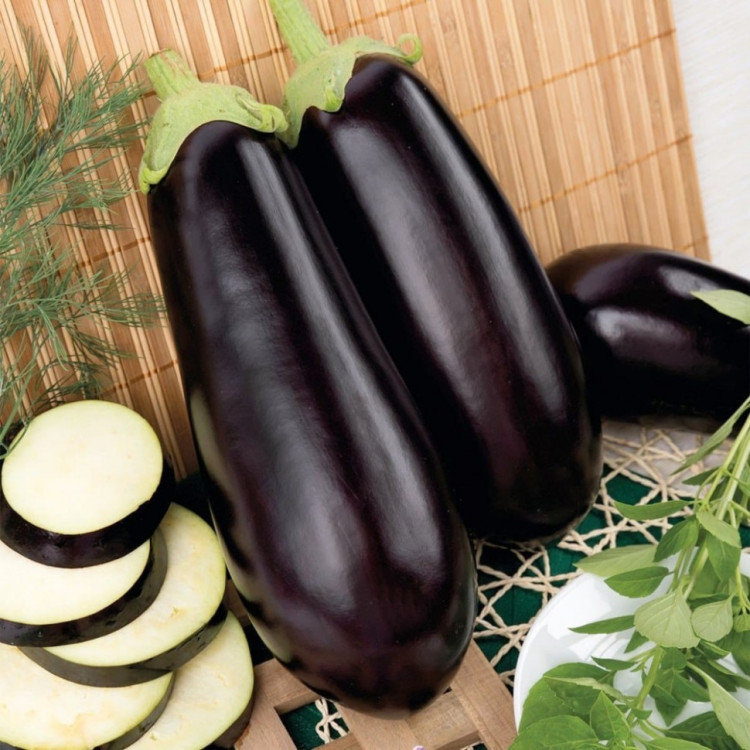 5010D Баклажан Галич 5шт 5010D Баклажан Галич 5шт