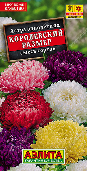 1246A Астра Королевский размер, смесь сортов 0,1 г