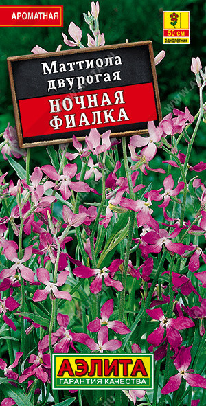 1646A Маттиола Ночная фиалка 0,5 г