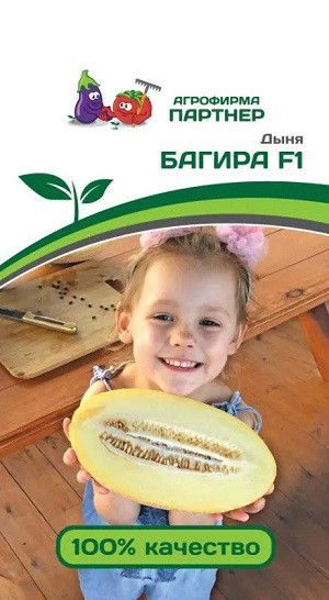 3017P Дыня БАГИРА F1 5 шт