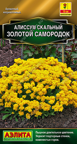 1160A Алиссум Золотой самородок 0,05гр 1160A Алиссум Золотой самородок 0,05гр