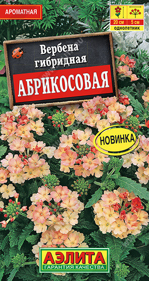 1347A Вербена Абрикосовая 10 шт