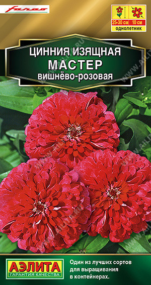 1947A Цинния Мастер вишнево-розовая 12 шт