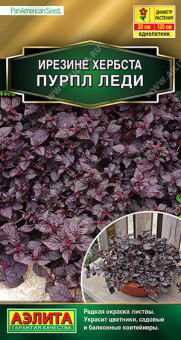 1461A Ирезине Пурпл леди 5шт