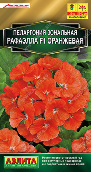 1661A Пеларгония Рафаэлла F1 оранжевая 5шт