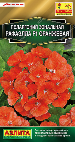 1661A Пеларгония Рафаэлла F1 оранжевая 5шт 1661A Пеларгония Рафаэлла F1 оранжевая 5шт