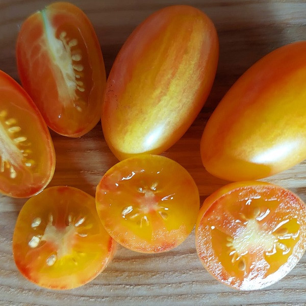 7008T Томат Блаш 10шт 7008T Томат Блаш 10шт