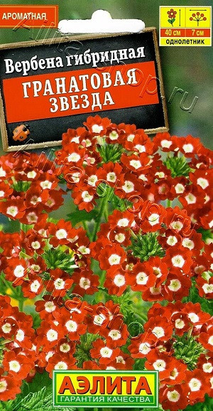 1348A Вербена Гранатовая звезда 0,1 г